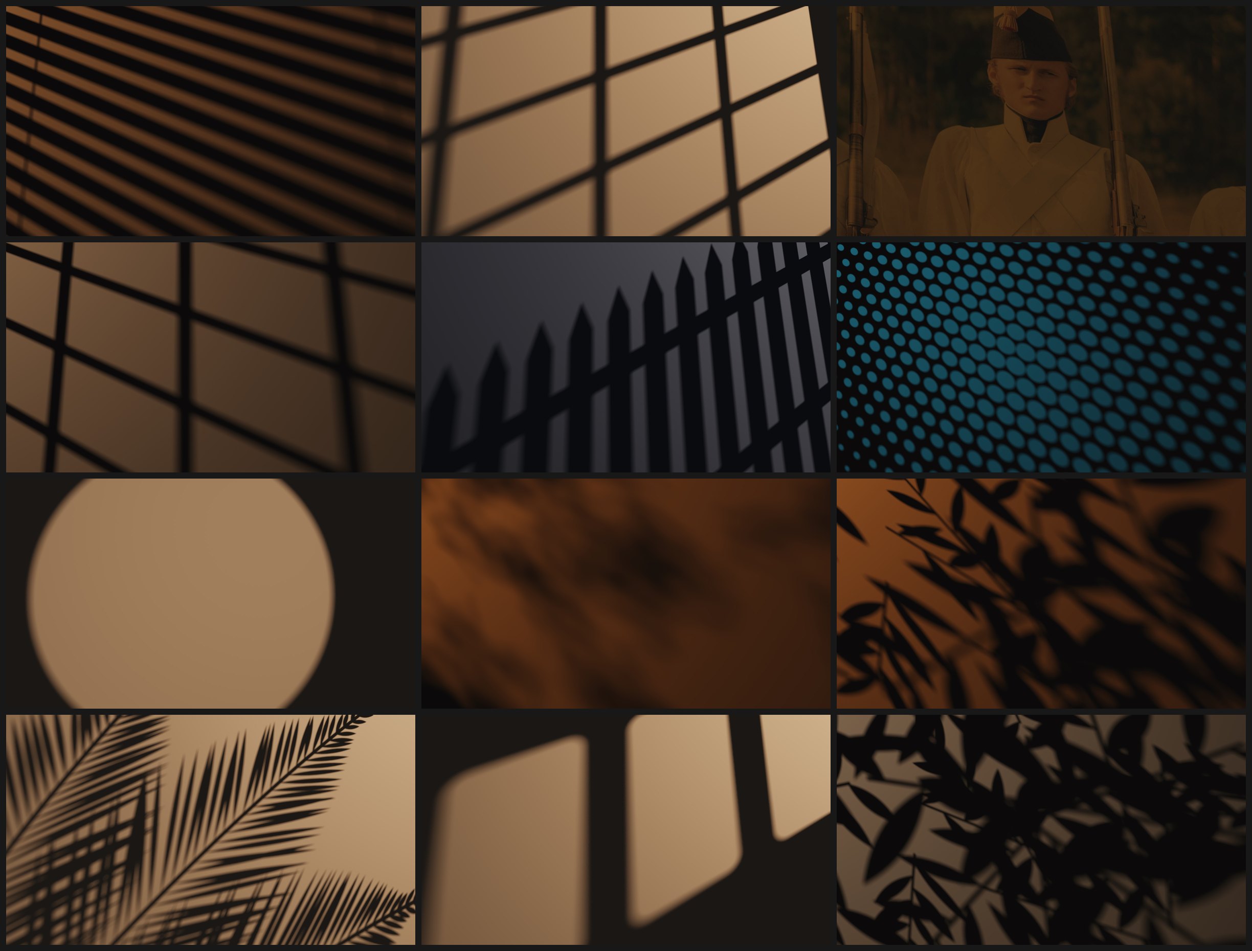 Twelve renders: blinds, french doors, a photo used as a colour slide, a fence, halftone, an iris, clouds, leaves, palm fronds and a passing train